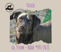 Tilica
